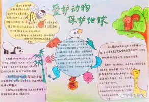 保護(hù)野生動物手抄報素材