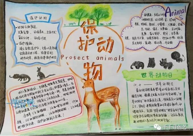 保護野生動物手抄報素材