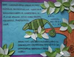 好書推薦卡圖片大全簡單又漂亮