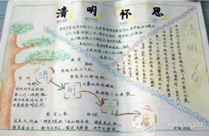 小學(xué)生清明節(jié)手抄報(bào)內(nèi)容圖片