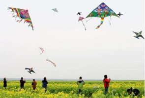 小學生放風箏作文300字優(yōu)秀10篇