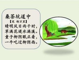 楊萬里桑茶坑道中古詩帶拼音版 詩意及賞析