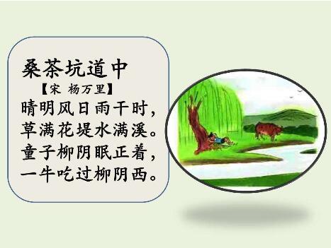 楊萬里桑茶坑道中帶拼音版