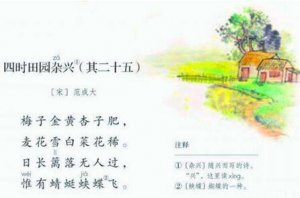 范成大四時田園雜興其二十五古詩帶拼音版 意思及賞析