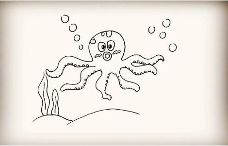 章魚簡(jiǎn)筆畫教程圖片
