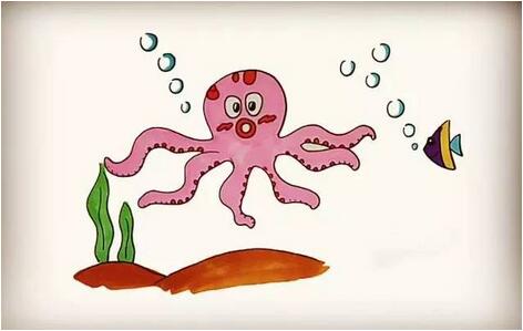 章魚簡筆畫教程圖片 海洋生物簡筆畫