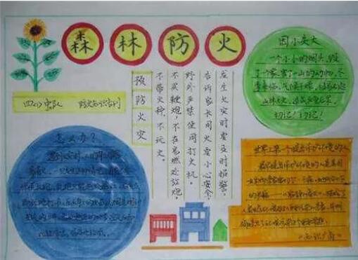 森林防火手抄報內(nèi)容圖片大全