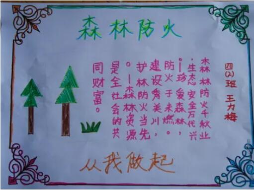 森林防火手抄報內(nèi)容圖片大全