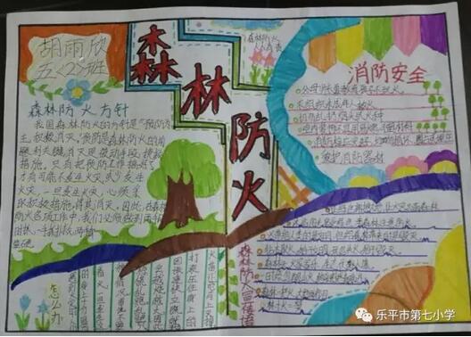 森林防火手抄報內(nèi)容圖片大全