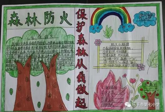 森林防火手抄報內(nèi)容圖片大全