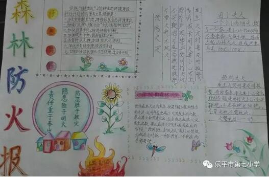 森林防火手抄報內(nèi)容圖片大全