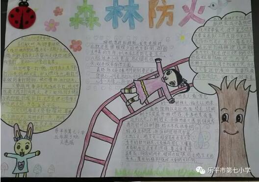 森林防火手抄報內(nèi)容圖片大全