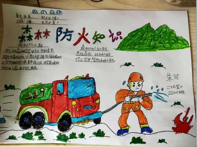 森林防火知識手抄報內容圖片大全（20p）