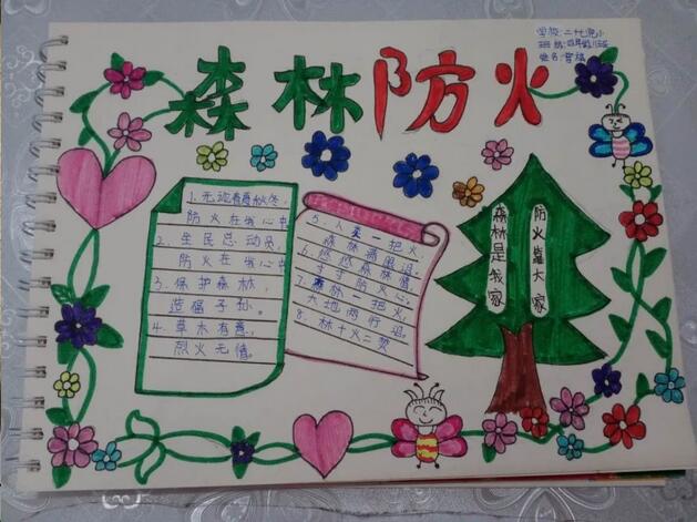 森林防火知識手抄報內容圖片大全（20p）