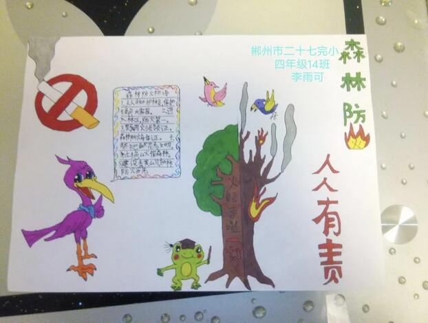 森林防火知識手抄報內容圖片大全（20p）