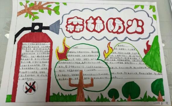 森林防火知識手抄報內容圖片大全（20p）
