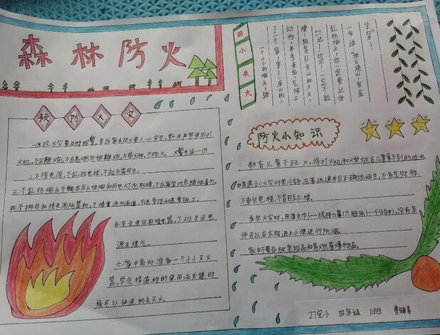 森林防火知識手抄報內容圖片大全（20p）
