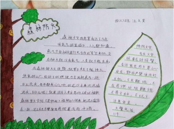 森林防火進校園，萌娃手報來宣傳