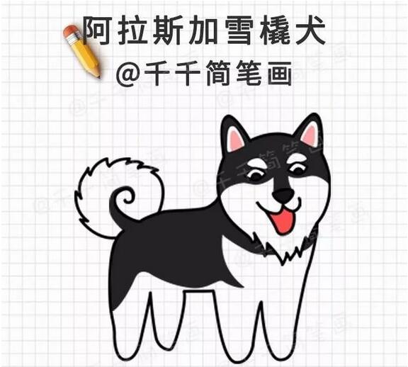 10種小狗狗簡筆畫教程圖片