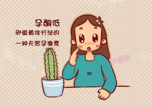 女性黃體酮不足會有哪些后果