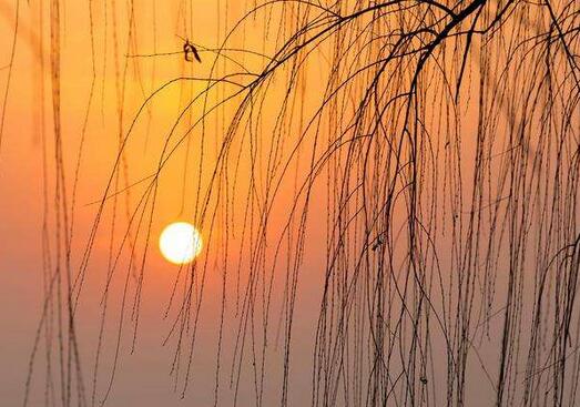 韋應(yīng)物夕次盱眙縣賞析