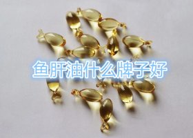 魚肝油什么牌子好