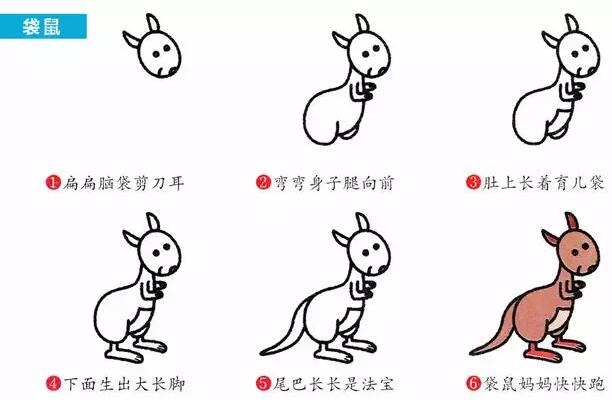 兒童動植物簡筆畫大全教程的圖解