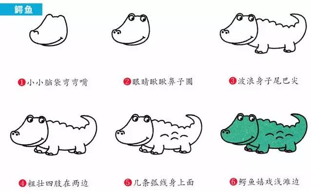 兒童動植物簡筆畫大全教程的圖解