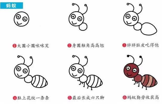 兒童動植物簡筆畫大全教程的圖解