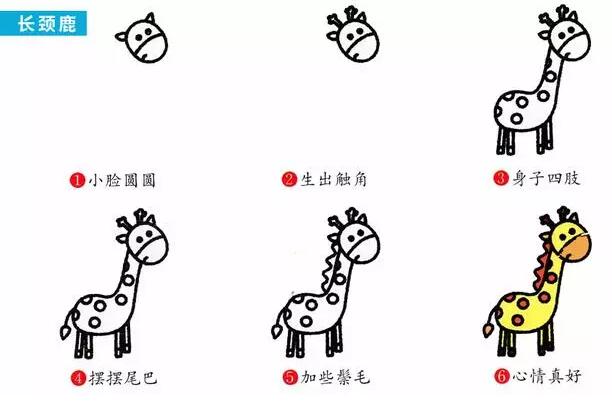 兒童動植物簡筆畫大全教程的圖解