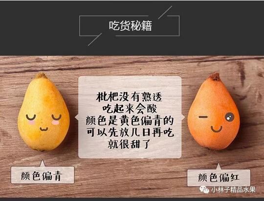 枇杷的適用人