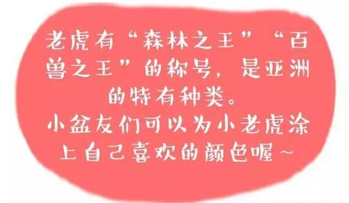 用字母T畫老虎（Tiger）簡筆畫教程圖片