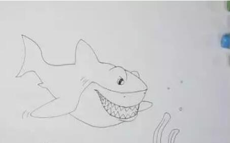 鯊魚簡筆畫教程圖片