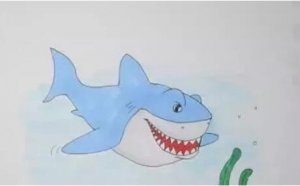 鯊魚簡筆畫教程圖片