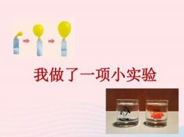 我做了一項(xiàng)小實(shí)驗(yàn)作文300字