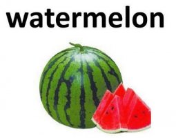 西瓜用英語怎么說 西瓜英文watermelon怎么讀