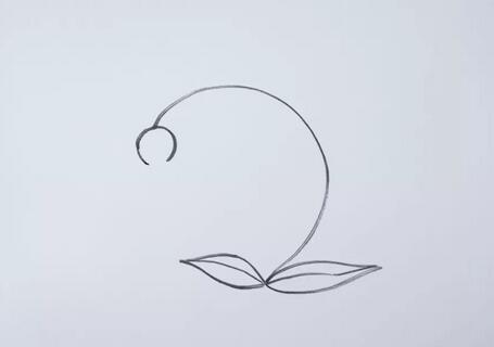 風(fēng)鈴花花朵簡(jiǎn)筆畫(huà)教程圖片
