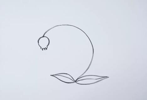 風(fēng)鈴花花朵簡(jiǎn)筆畫(huà)教程圖片
