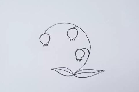 風(fēng)鈴花花朵簡(jiǎn)筆畫(huà)教程圖片