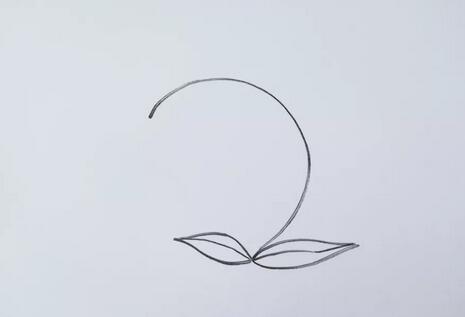 風(fēng)鈴花花朵簡(jiǎn)筆畫(huà)教程圖片