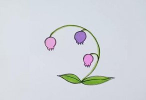 風(fēng)鈴花花朵簡筆畫教程圖片