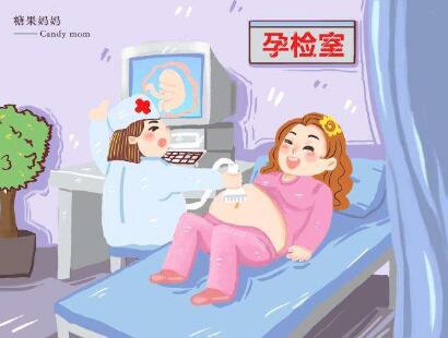 四維彩超怎么看男女