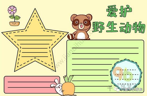 保護(hù)野生動物不吃野味的手抄報