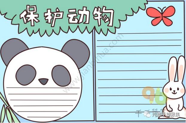 保護(hù)野生動物不吃野味的手抄報