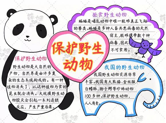 保護(hù)野生動物不吃野味的手抄報