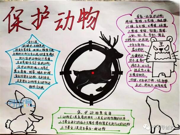 保護(hù)野生動物不吃野味的手抄報