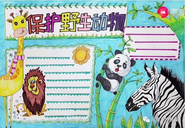 保護(hù)野生動物不吃野味的手抄報