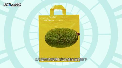 菠蘿蜜怎么剝視頻教程