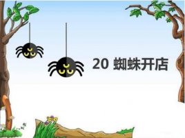 小學(xué)課文《蜘蛛開(kāi)店》教案教學(xué)設(shè)計(jì)