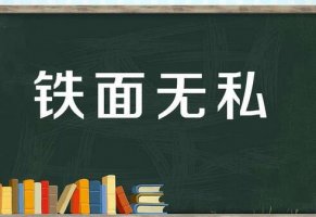 鐵面無私的故事和意思